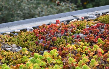 the cost of Bucket Corner green roof installation