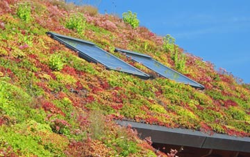 Bucket Corner living roof systems