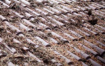 Bucket Corner roof cleaning companies