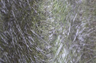 Bucket Corner fibreglass roof work